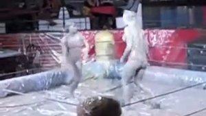 FIGHTS GIRLS IN MUD Женские бои в грязи