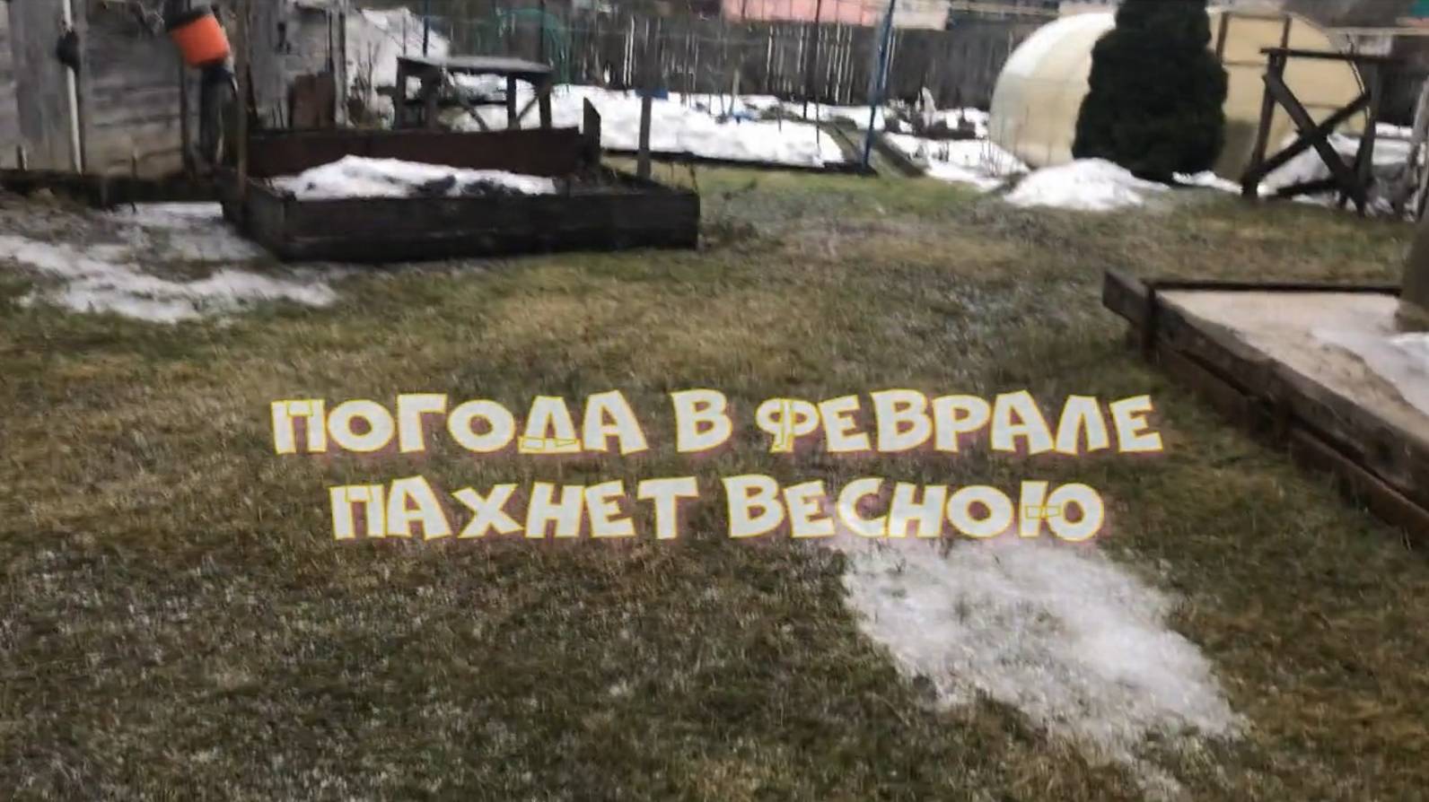 Погода в феврале. Снег сошел. Грядки оголились. Трава зеленеет. И наконец пошел снег большими хлопья