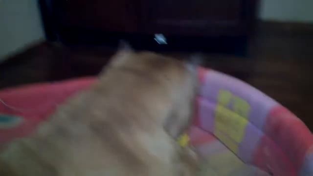 Страшилище! смотреть онлайн