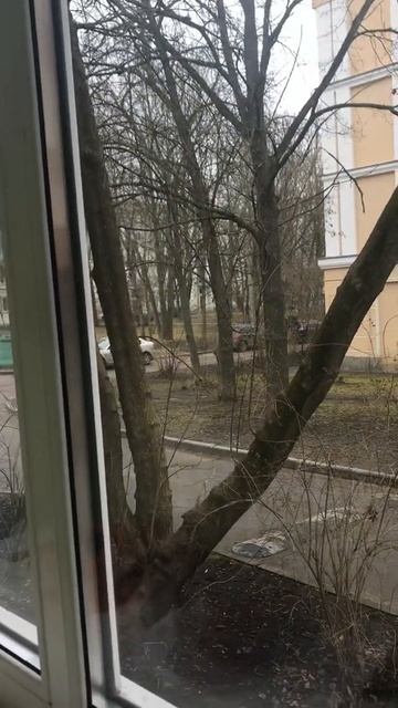 Продажа 2ккв. в городе Пушкин на улице Глинки дом14!!! смотреть онлайн