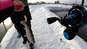 СМЕКАЛКА ВЫРУЧАЕТ!!! На ЧТО и КАК ловить ФОРЕЛЬ?? Самый эффективный ЗАПРЕЩЁННЫЙ СПОСОБ ловли форели.