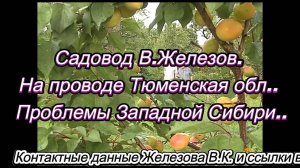 Садовод В.Железов. На проводе Тюменская обл.. Проблемы Западной Сибири..