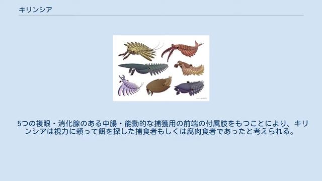 キリンシア смотреть онлайн