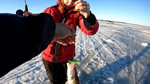 ПОПАЛИ НА СУДАЧИЙ ХАПОК и не ТОЛЬКО! ЭТИ ПРИМАНКИ СДЕЛАЛИ НАШУ РЫБАЛКУ. ТАКУЮ РЫБУ МЫ ЕЩЕ НЕ ВИДЕЛИ! смотреть онлайн