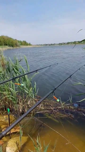 Рибалка на ВБИВЦЮ КАРАСЯ🎣🐟 #рибалка2023 #рибалкавукраїні #карась