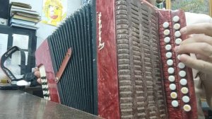 гармонь восток