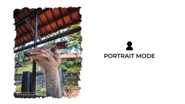 GIVEAWAY! Redmi Note 8 Pro Real-World Camera Review Malaysia смотреть онлайн