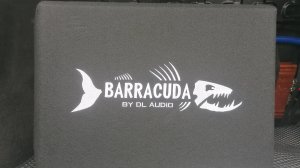 Как же играет активный сабвуфер DL Audio Barracuda 10A Flat? №2