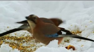 Nafs ko Lamba aur Mota Karne ka Tarika | Lun Lamba Karne ka Nuskha | 8 Din me 8 Inch Lamba Ling