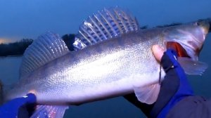 Рыбалка на Спиннинг. Река ОКА. 1Февраля. Район Ступино. Ловля судака на джиг.