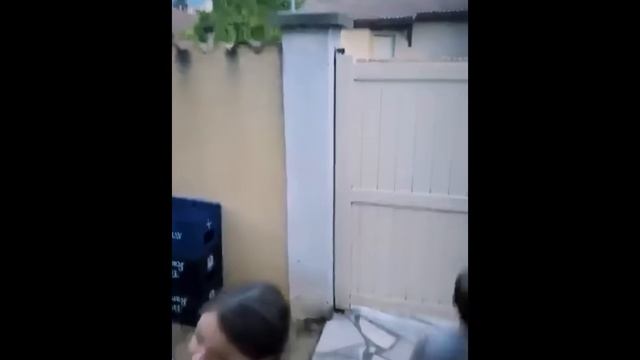 UNUSUAL COMPILATION 280