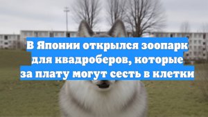 В Японии открылся зоопарк для квадроберов, которые за плату могут сесть в клетки