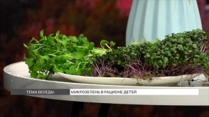 Микрозелень в рационе питания детей