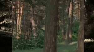 * Пуркуа па? Из фильма "Д'Артаньян и три мушкетёра" (1978)