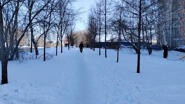 378. г. Хабаровск. ТЦ Большая Медведица - ТЦ На Выборгской. 02.02.25.