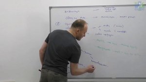 Курс по коррекции стопы Григорий Крутов Введение Прикладная кинезиология