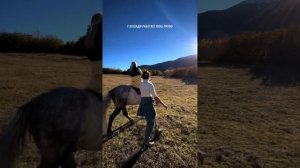 Обучение азам управления лошадью.