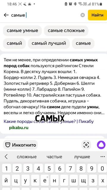 Топ 5 самых умных наций или собак. Смотри до конца #Shorts