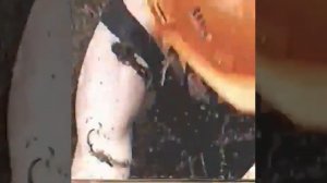 Андатра покусала😆