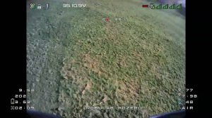 mobula 8 park flight