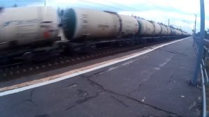 Грузовой поезд на станции "Войново"