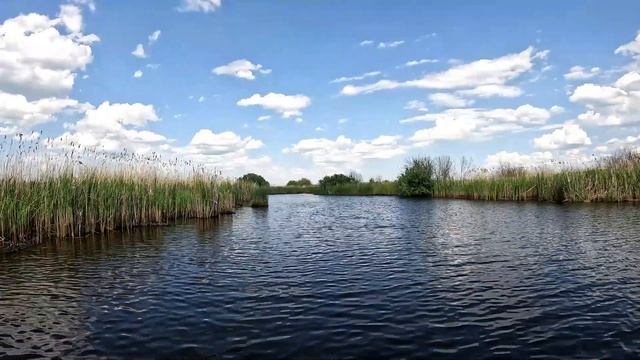 ЖЕРЛИЦЫ 2022 летние. СРАБОТКА за СРАБОТКОЙ! ЩУКИ РВУТ ЖИВЦОВ! Ловля щуки на жерлицы на лесной речке. смотреть онлайн