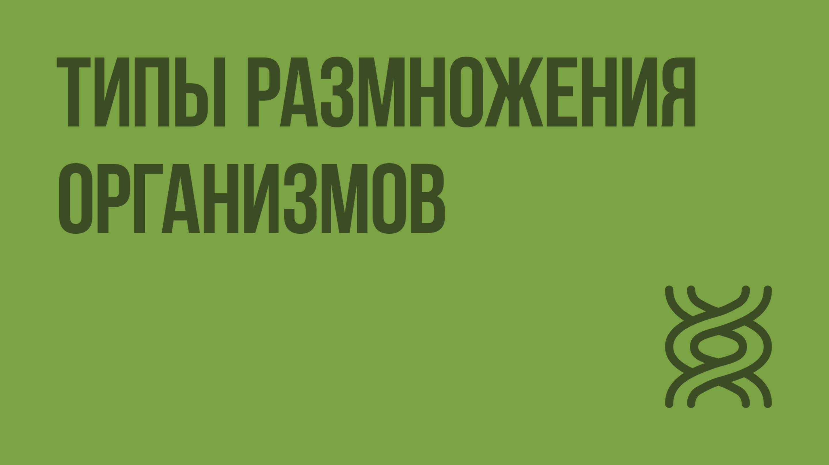 Типы размножения организмов. Видеоурок по биологии 9 класс