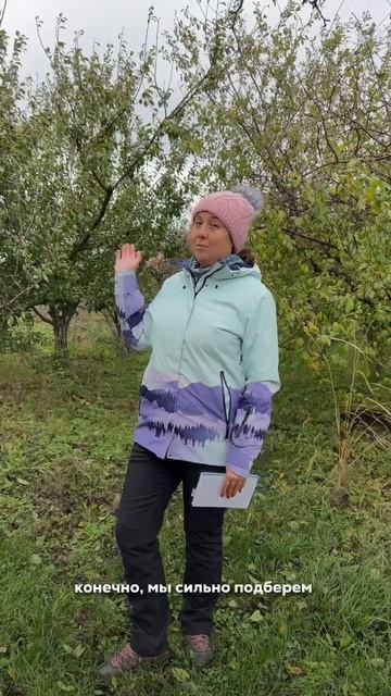 Как правильно сажать плодовые деревья? (часть 1)
