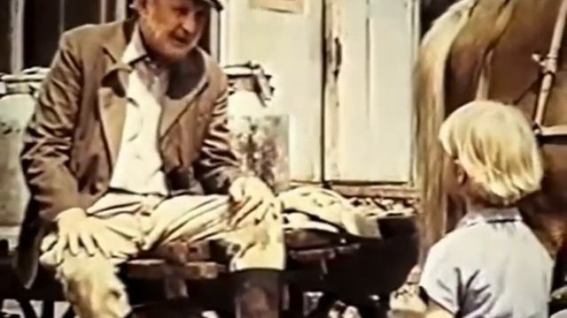 наездники