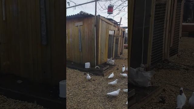 добра и хоршего настроения