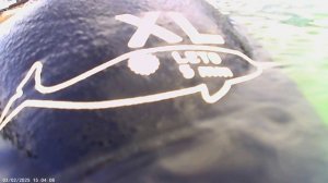 подводная охота