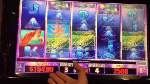 Muff Divin' Dolphin Slot Machine Bonus