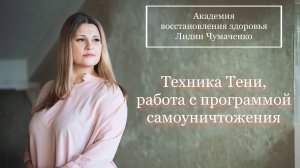 Техника Тени, работа с программой самоуничтожения