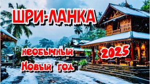 ШРИ ЛАНКА 2025 Новый год в джунглях