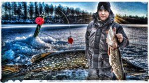 Мамки Вышли На Охоту!Рыбалка На Жерлицы!