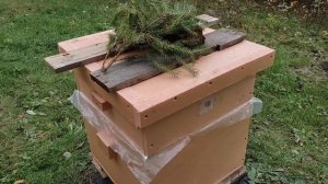 Пересадка пчел осенью в новый улей из ппс