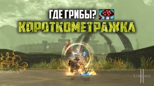 Болото в Lineage 2. Юмористическая короткометражка о биг варе на руоффе в 2025 году.