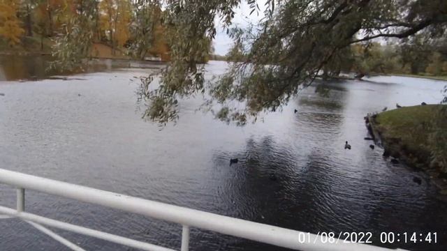 Гатчина Дворцовый парк смотреть онлайн