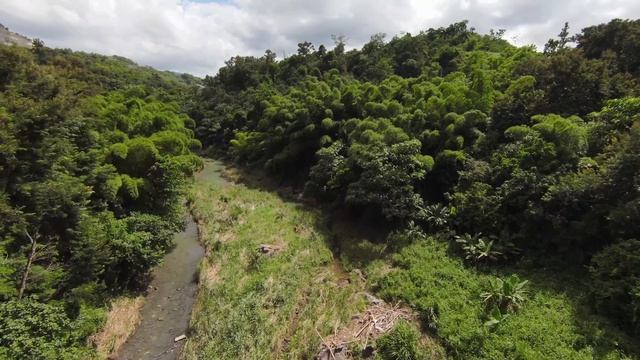 Vuelo por Río de Aguas Buenas Carr.174 Km 7.1 Drone Explorer PR. DJI FPV 4K смотреть онлайн