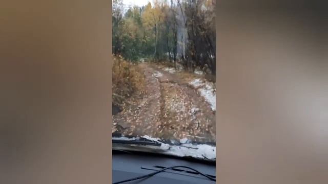 Джип - тур "Лесоруб" по маршруту Моты - Медвежий смотреть онлайн