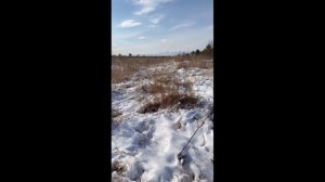 Потерялась я в полях