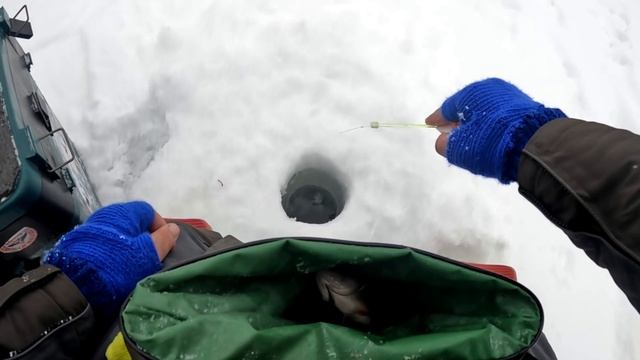 Ловля КРУПНОГО ОКУНЯ на мормышку! Зимняя рыбалка 2022. Подобрал эту проводку и ЛИФТАНУЛ полосатыми! смотреть онлайн