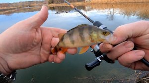 Мормышинг,ловля на мормышку по открытой воде,08.01.25г