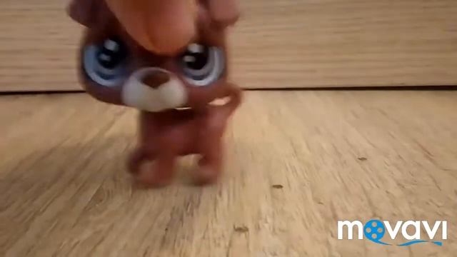 Моя коллекция собак lps 🐩🐶🐕