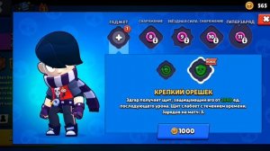 Братья сквики завидуйте молча