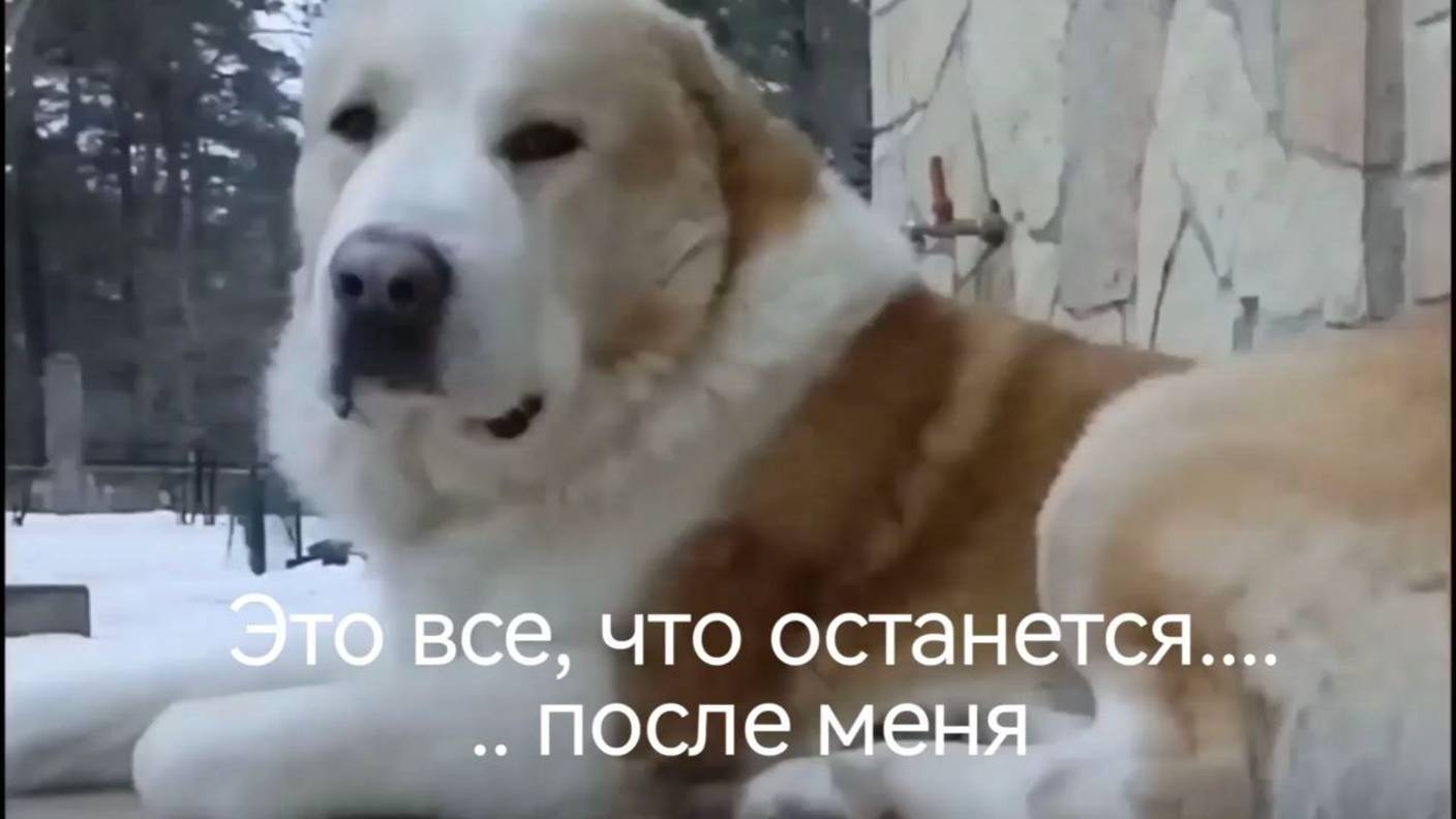 Это все, что останется... смотреть онлайн