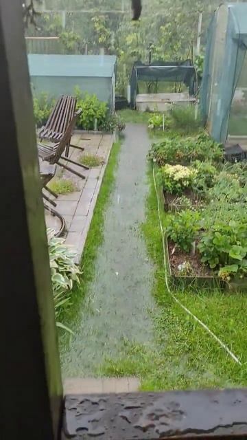 Ураган Эдгар и ливень в Подмосковье. 20.06.2024.