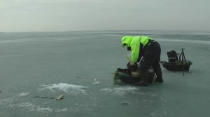 Подводная  камера.  Виды дна.  ЗимнийМаныч . От Юрия Философа