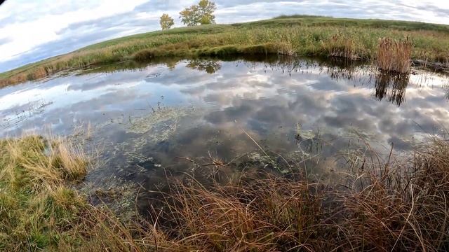 ЩУКИ АТАКУЮТ НА КАЖДОМ ЗАБРОСЕ!!! ЛОВЛЯ ЩУКИ на КРЕНКИ! ЩУКА НЕ МОЖЕТ ПРОЙТИ МИМО ЭТИХ КАРАПУЗОВ! смотреть онлайн
