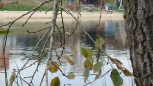 Тест манка Mallard Hammer